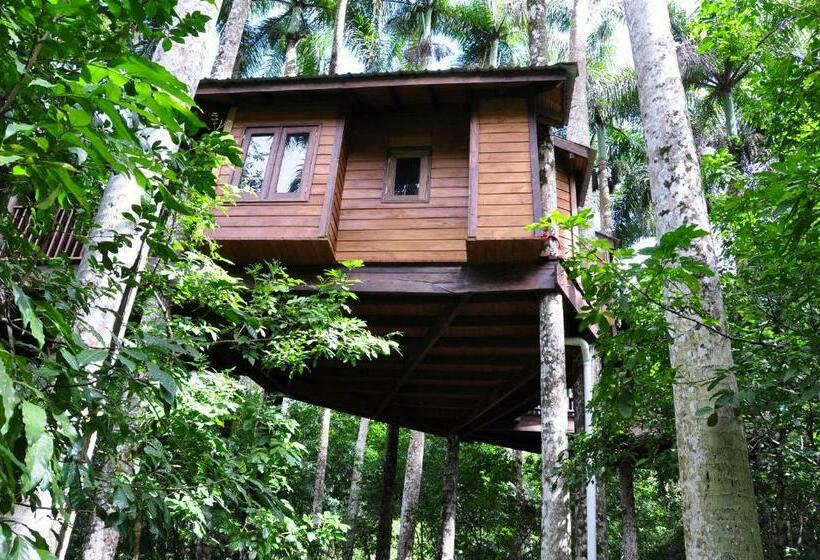 اتاق لوکس با بالکن, Platon Ecolodge