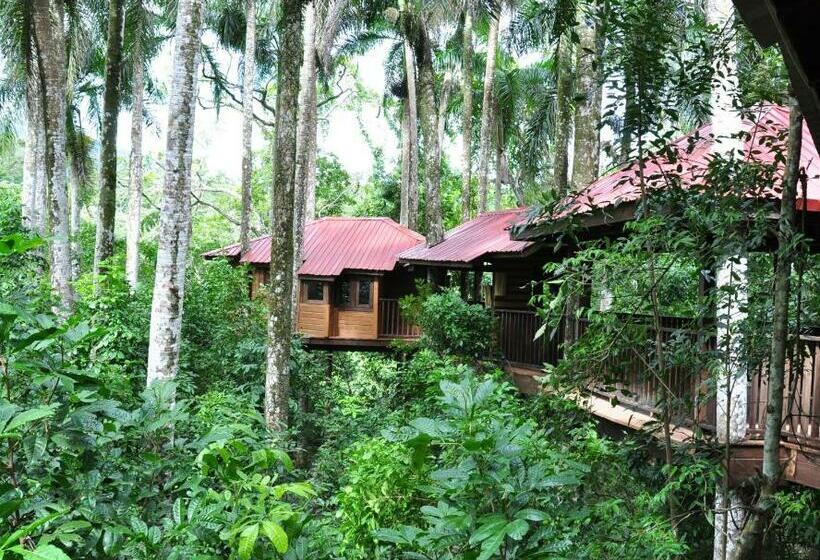 اتاق لوکس با بالکن, Platon Ecolodge