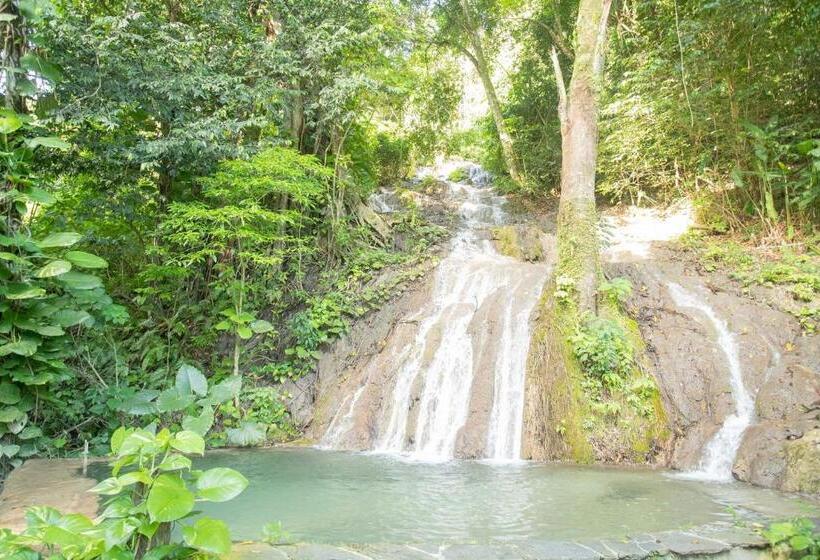 اتاق لوکس یک تخته, Platon Ecolodge