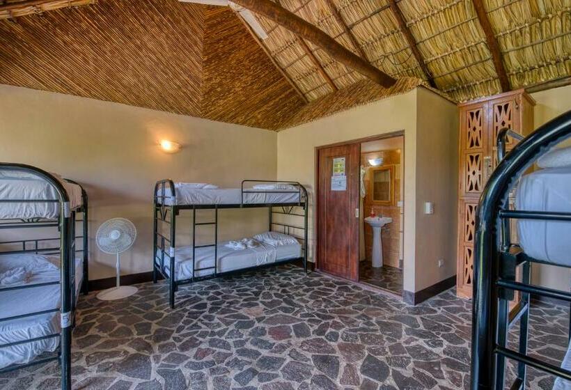 تختخواب در اتاق مشترک, Paradiso Hostel