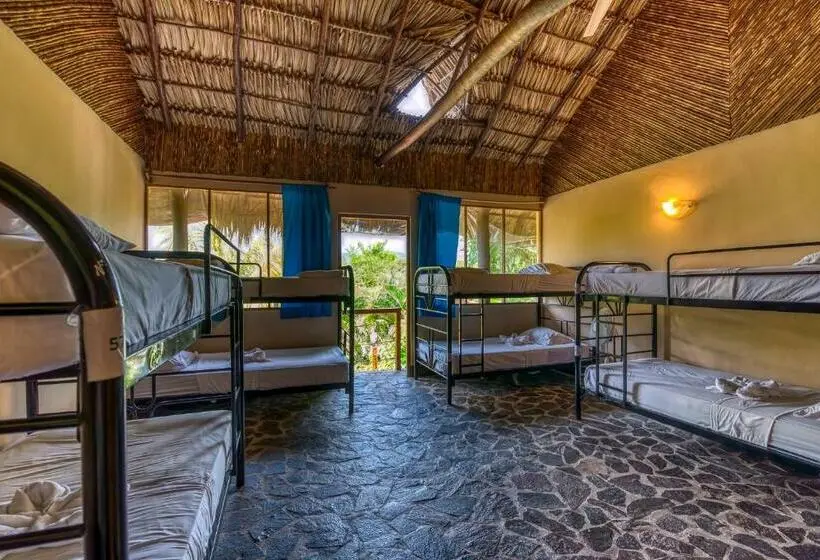 تختخواب در اتاق مشترک, Paradiso Hostel