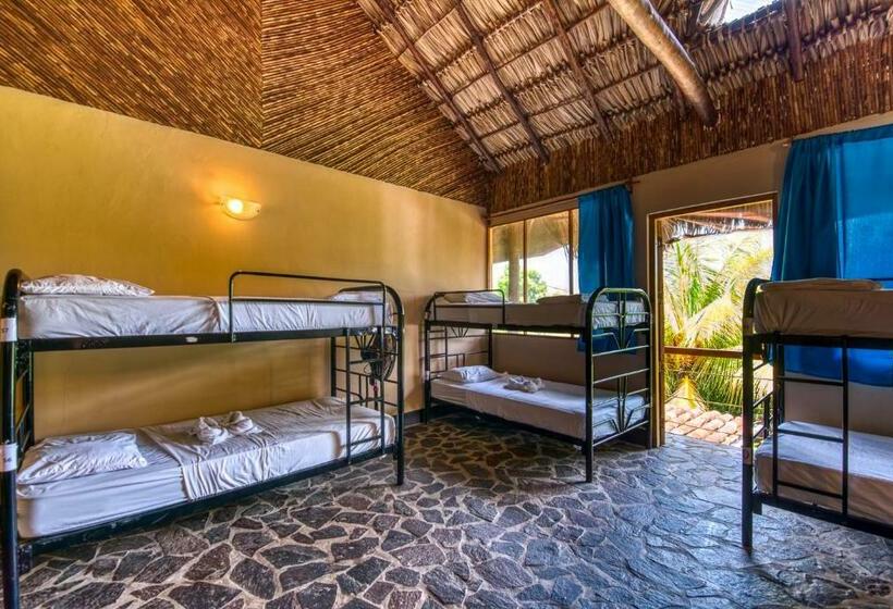 تختخواب در اتاق مشترک, Paradiso Hostel