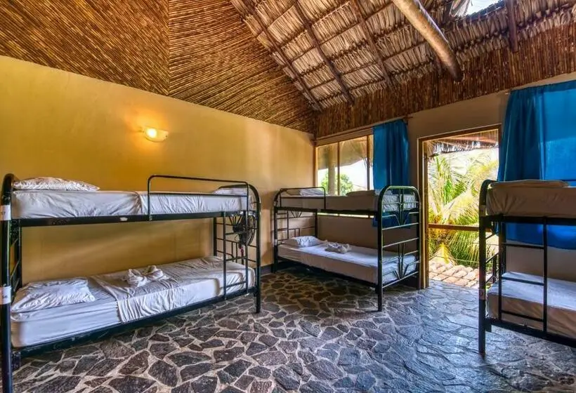 تختخواب در اتاق مشترک, Paradiso Hostel