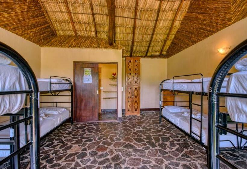 تختخواب در اتاق مشترک, Paradiso Hostel