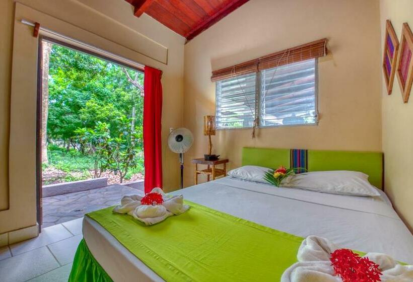 اتاق استاندارد, Paradiso Hostel