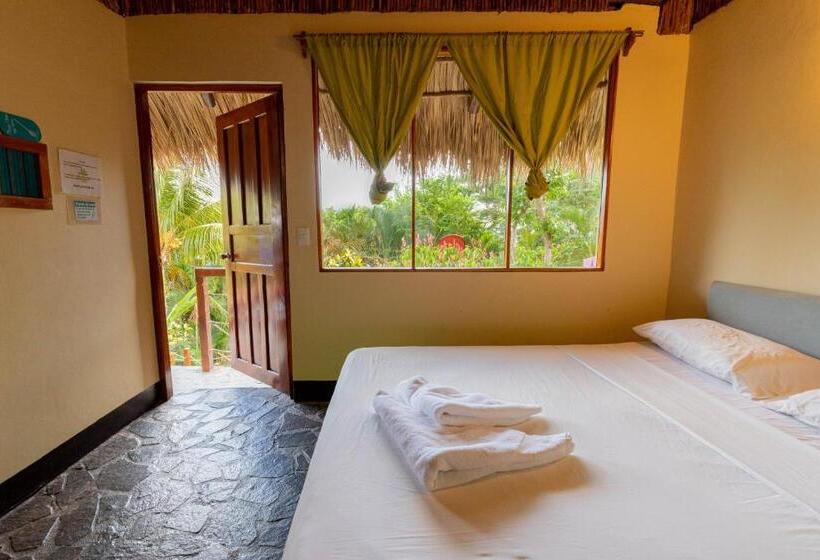 اتاق استاندارد چهار تخته, Paradiso Hostel