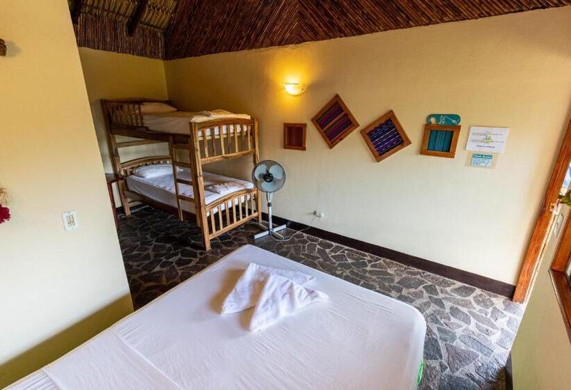 اتاق استاندارد چهار تخته, Paradiso Hostel