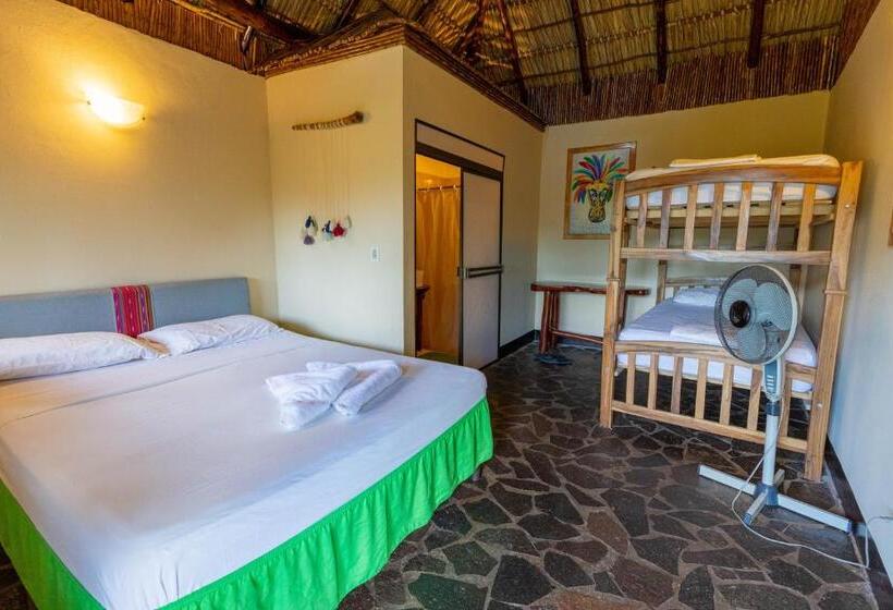 اتاق استاندارد چهار تخته, Paradiso Hostel