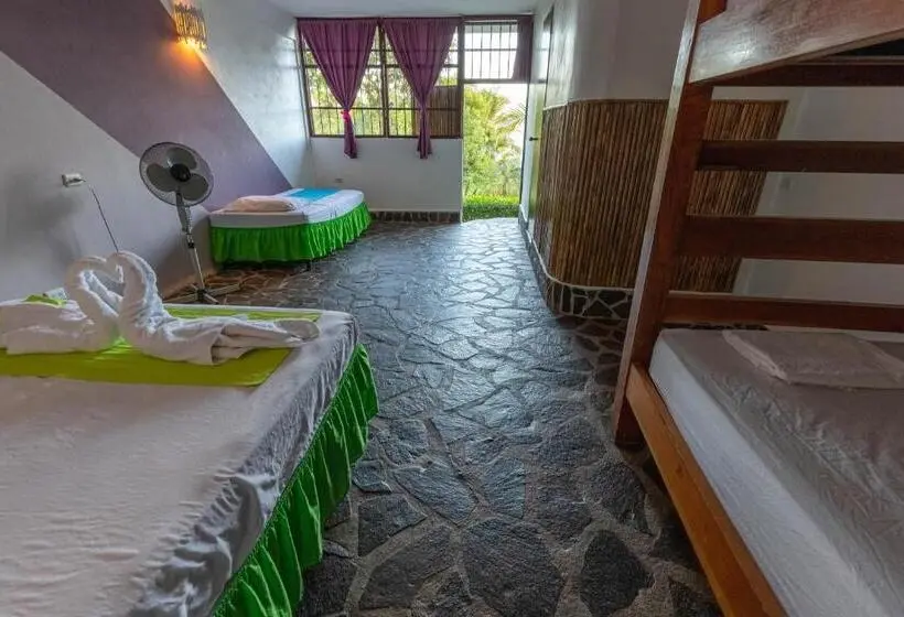 اتاق خانوادگی, Paradiso Hostel