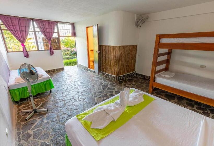 اتاق خانوادگی, Paradiso Hostel