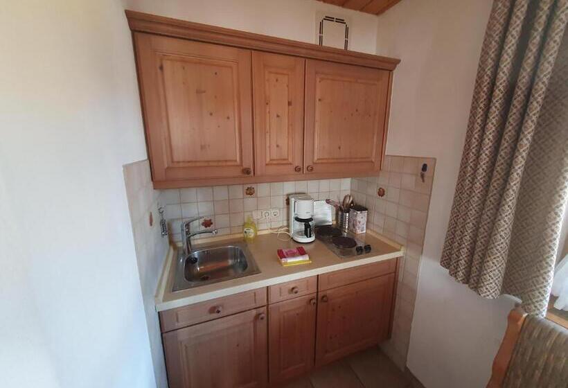 آپارتمان 1 خوابه با چشمانداز, Gästehaus Annemarie