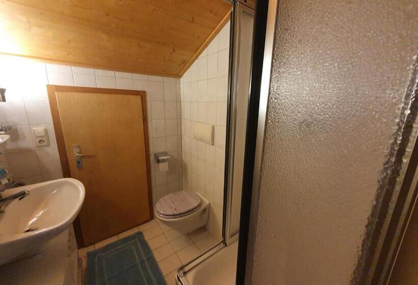 آپارتمان 1 خوابه با چشمانداز, Gästehaus Annemarie