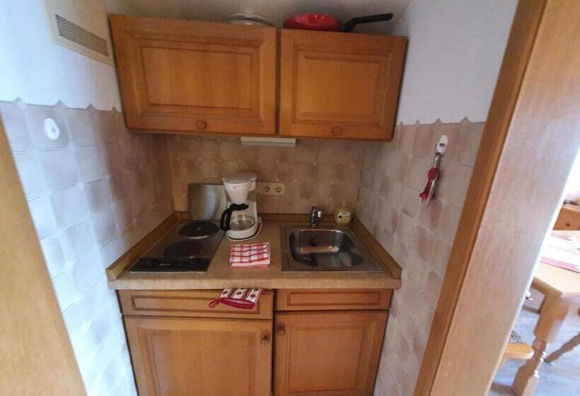 آپارتمان 1 خوابه با چشمانداز, Gästehaus Annemarie