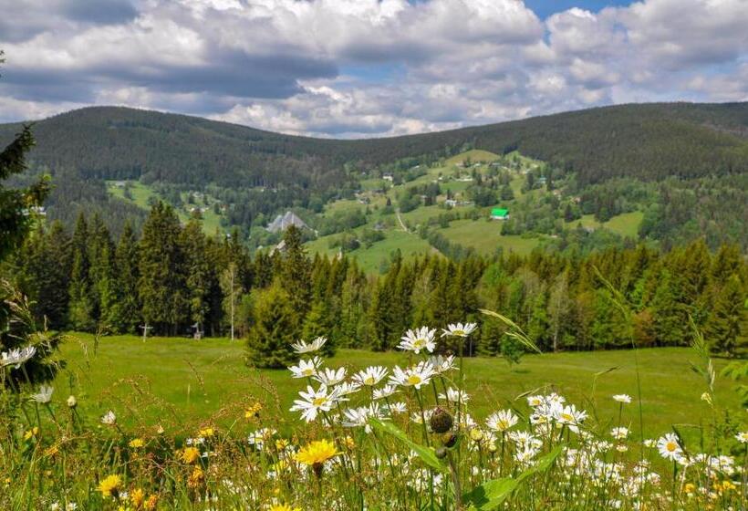 Четырехместный Номер Стандарт, Pension Horalka