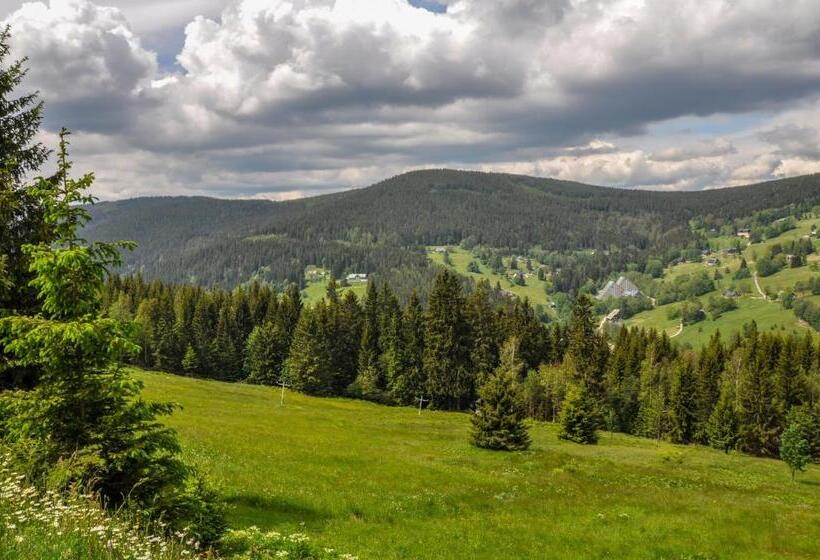 Четырехместный Номер Стандарт, Pension Horalka