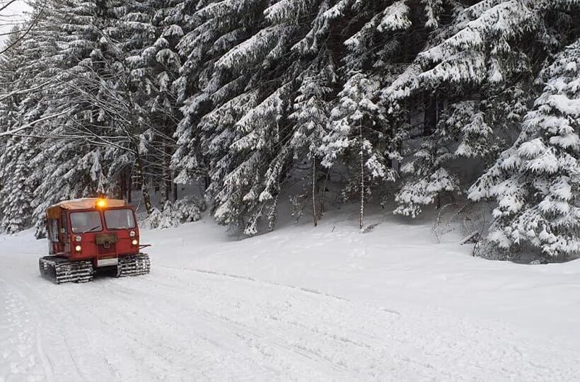 Номер Стандарт, Pension Horalka