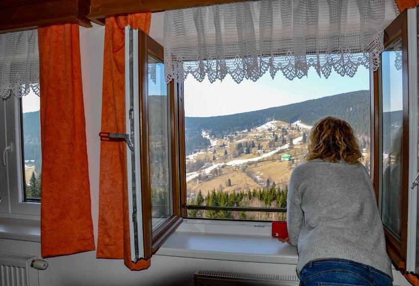 Номер Стандарт Вид на Горы, Pension Horalka