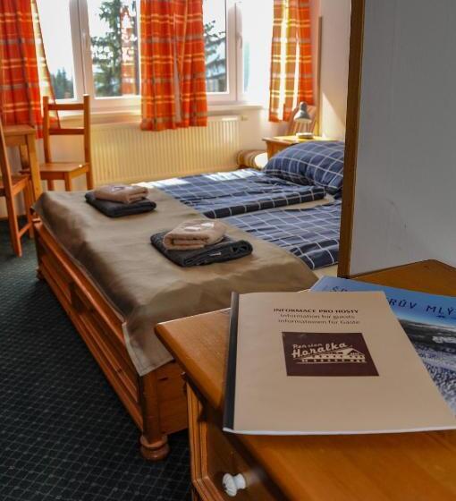 Семейный Номер Вид на Горы, Pension Horalka