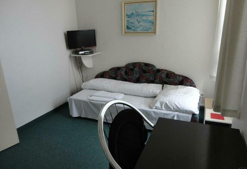 غرفة قياسية فردية, U Hroznu