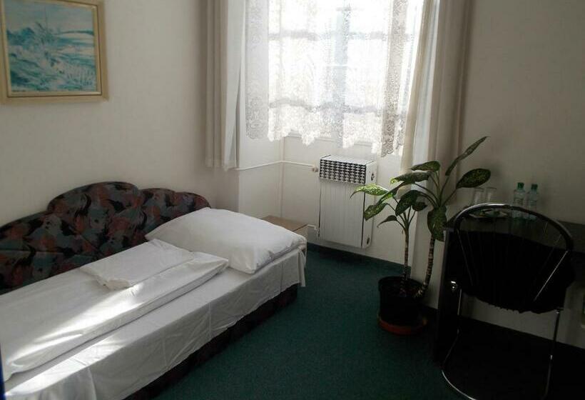 غرفة قياسية فردية, U Hroznu