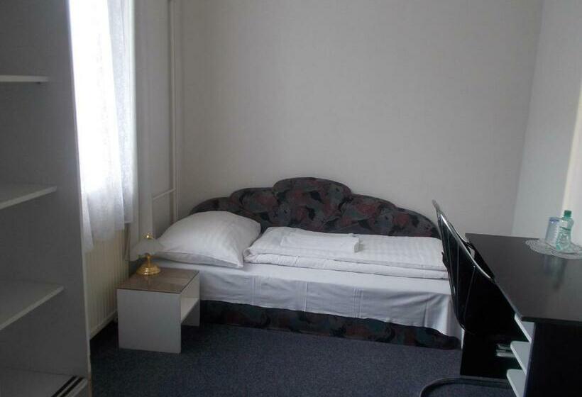 غرفة قياسية فردية, U Hroznu