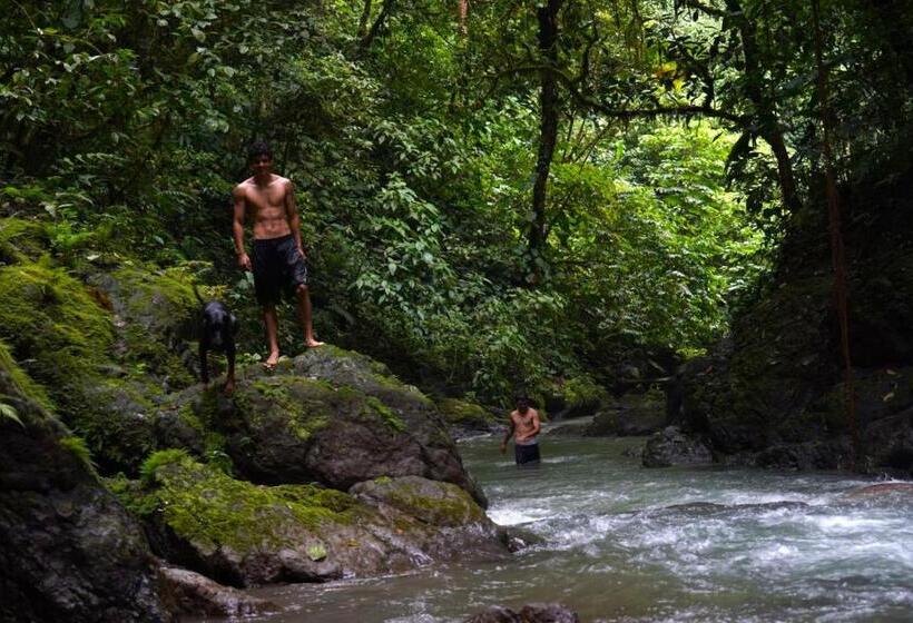 共用房间的床, Bolita Trails And Lodging