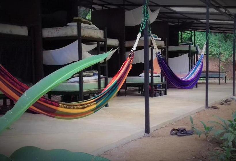 共用房间的床, Bolita Trails And Lodging