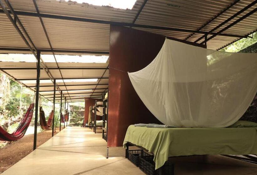 共用房间的床, Bolita Trails And Lodging