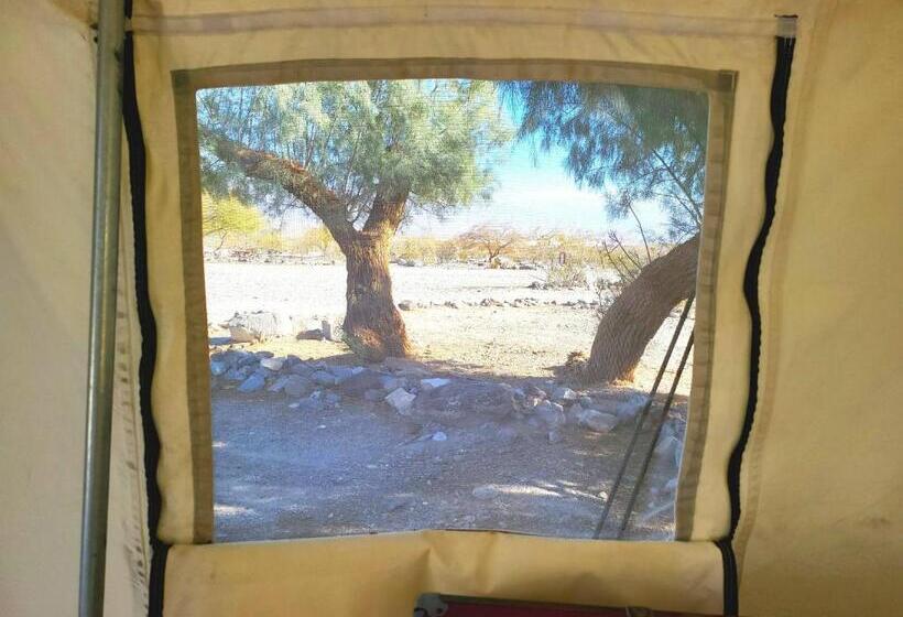 Basic Tent, Panamint Springs Motel & Tents