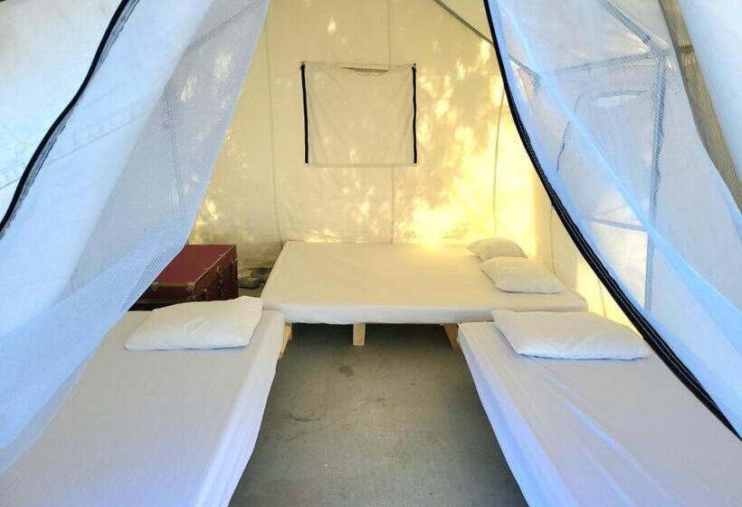 Standard Tent, Panamint Springs Motel & Tents