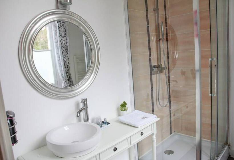 Номер Стандарт, Château De Baillant Futuroscope