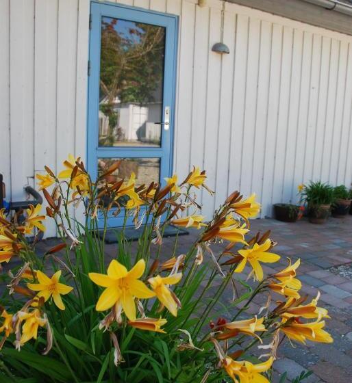 Апартаменты 1 Спальня с Террасой, Quistgaarden Bed & Breakfast