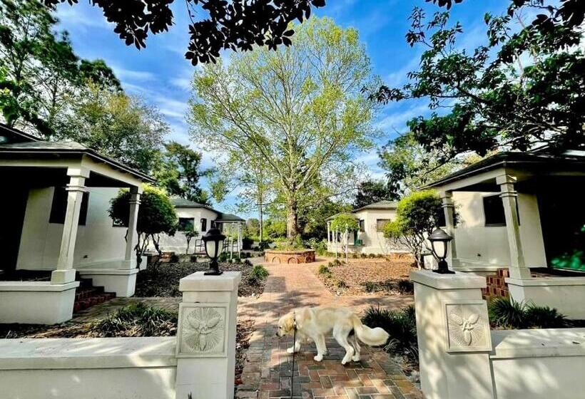 إستوديو قياسى, St James Bay Golf & Pickleball Resort