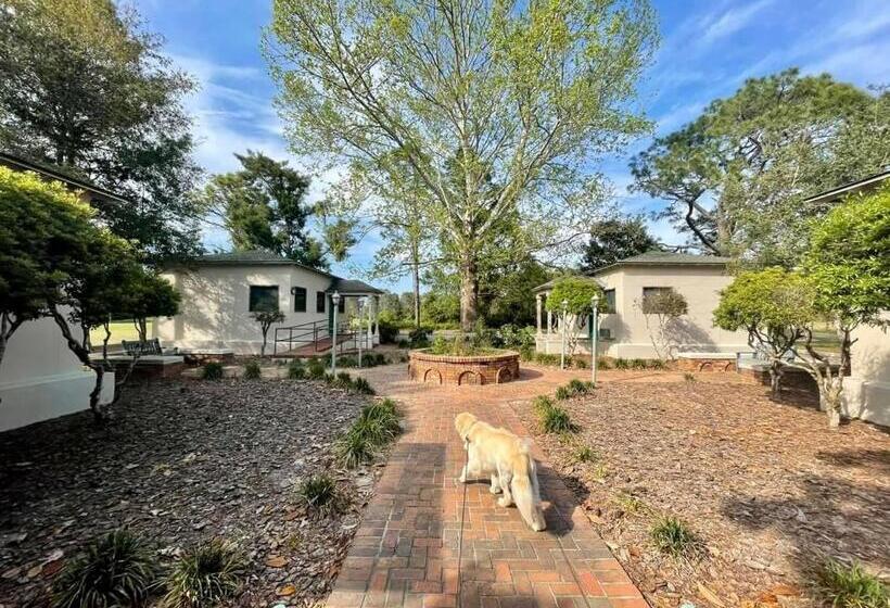 إستوديو قياسى, St James Bay Golf & Pickleball Resort