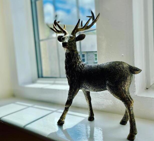 수피리어 룸, The Shoulder Of Mutton