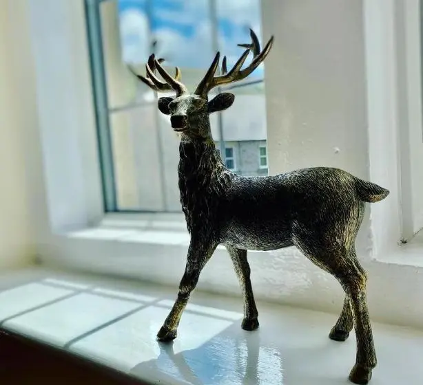 スーペリアールーム, The Shoulder Of Mutton