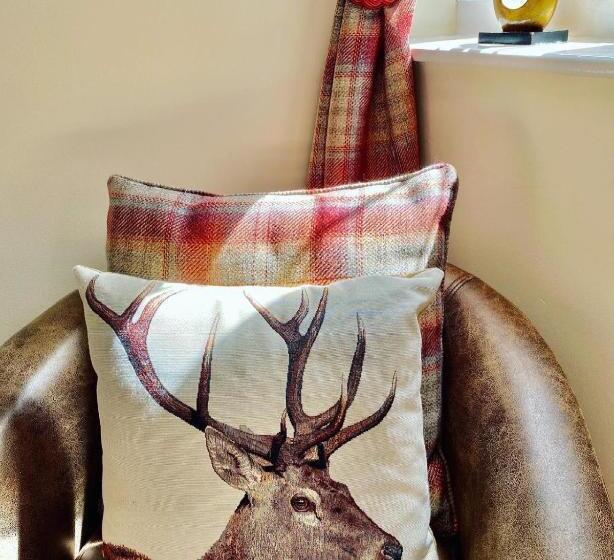 수피리어 룸, The Shoulder Of Mutton