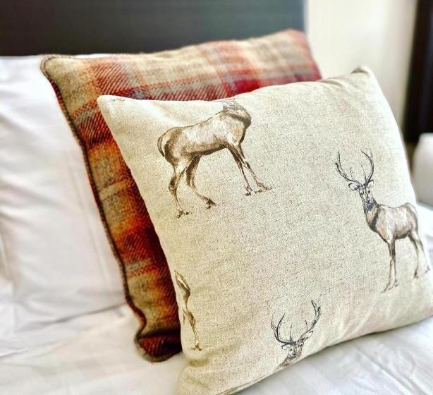 수피리어 룸, The Shoulder Of Mutton