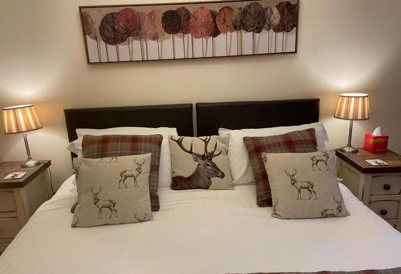 수피리어 룸, The Shoulder Of Mutton