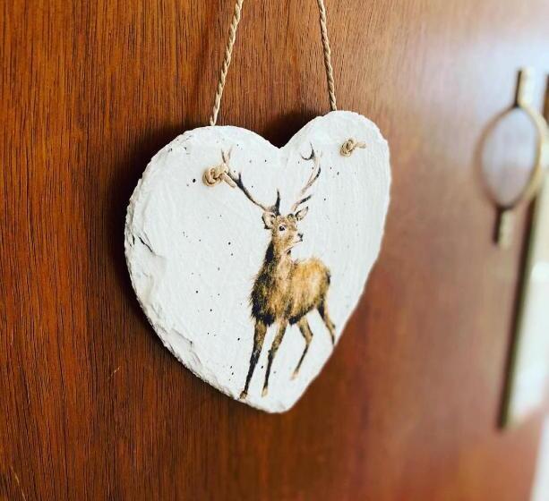 수피리어 룸, The Shoulder Of Mutton