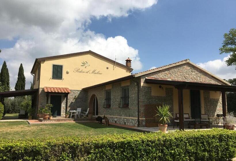 Апартаменты 2 спальни Вид на Бассейн, Podere Il Mulino