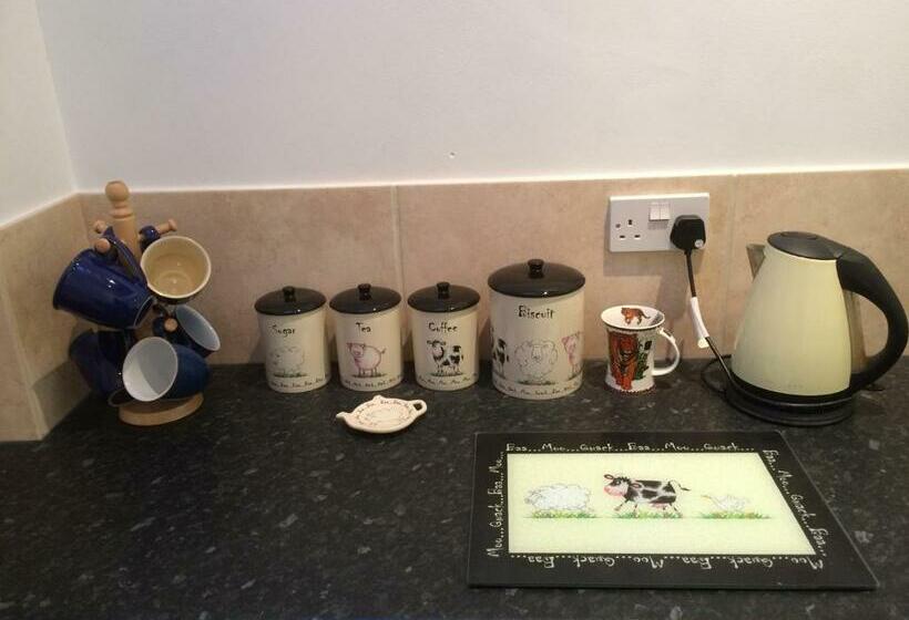 Номер Стандарт, The Orangery