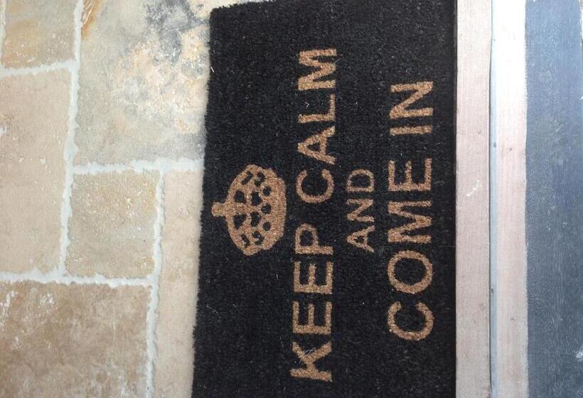 Номер Стандарт, The Orangery