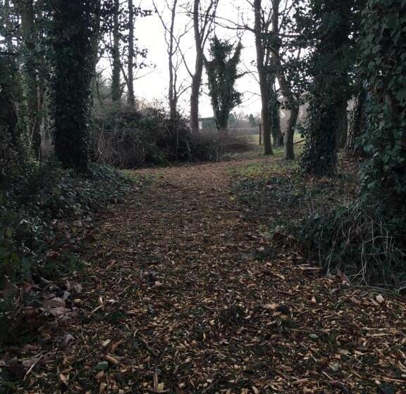 Номер Стандарт, The Orangery