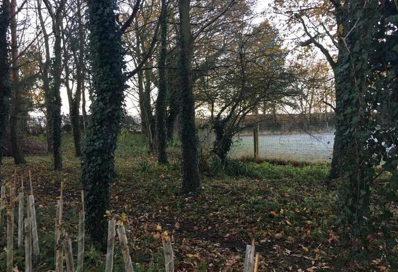 Номер Стандарт Трехместный, The Orangery