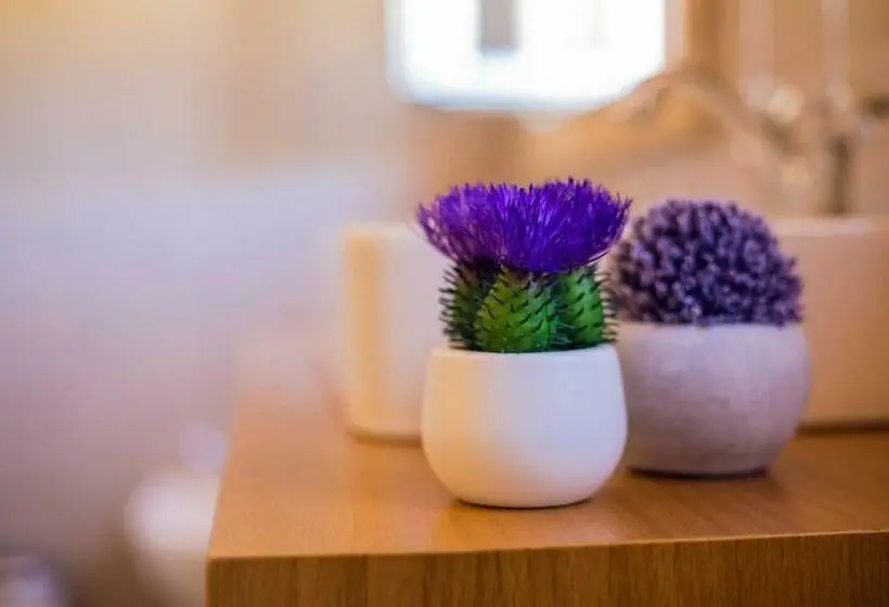 سوییت, Lavandeira Douro Nature & Wellness