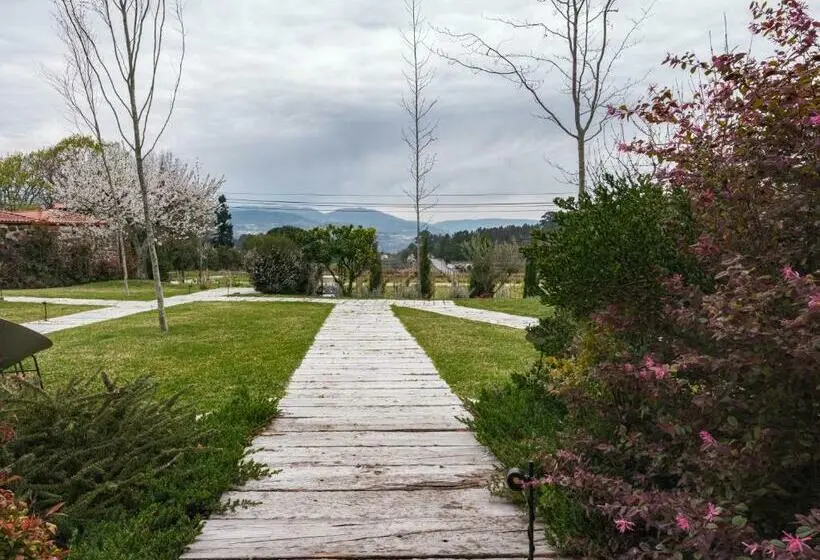 اتاق استاندارد با چشم‌انداز, Lavandeira Douro Nature & Wellness