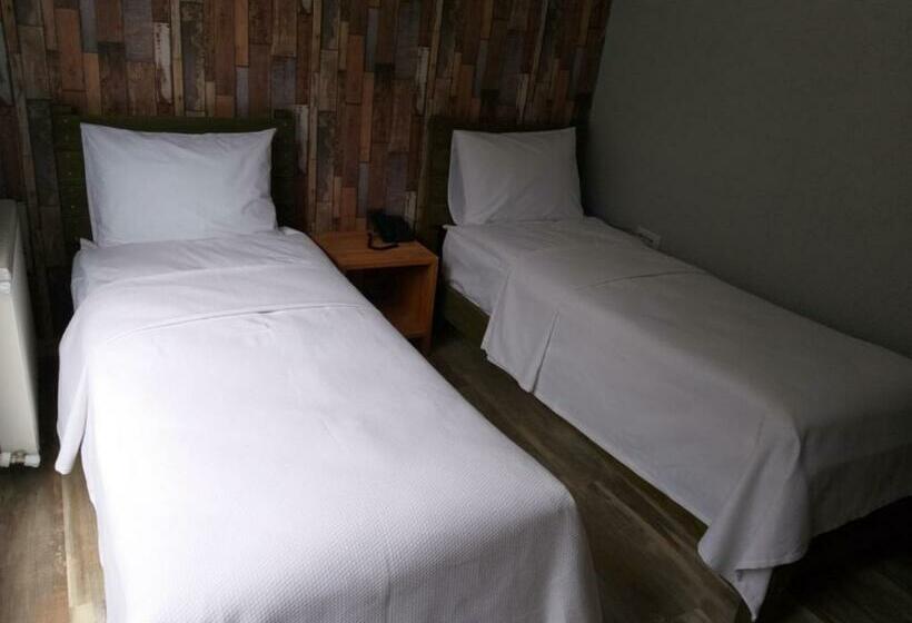 マウンテンビュースタンダードルーム, Eli̇kti̇ Buti̇k Otel