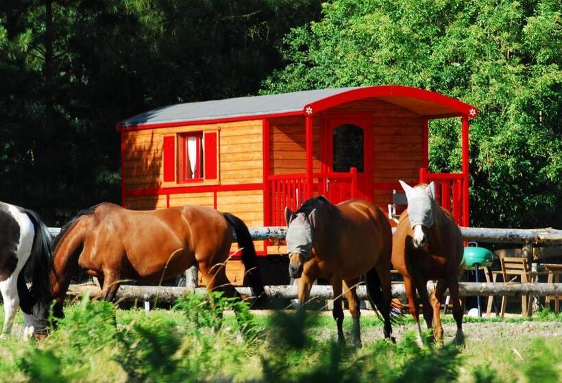 Дом 1 Спальня, Gypsy Nature B&b