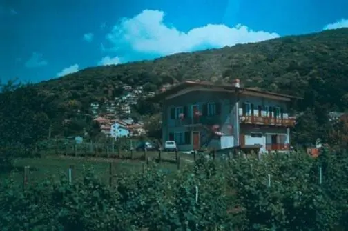 スタンダードスタジオ, Agriturismo La Betulla